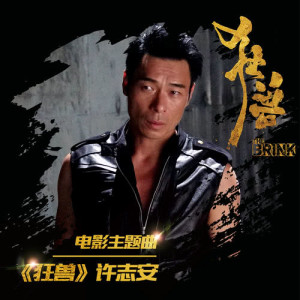 Listen to The Brink (单曲) song with lyrics from Andy Hui (许志安)