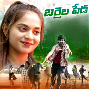 Album BARRELA PEDA from Ramu Rathod