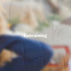 收听Bincy Mord的Entraining歌词歌曲