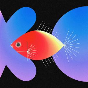 Listen to Kingyohanabi (ANIMAL HACK Remix) song with lyrics from Ai Otsuka