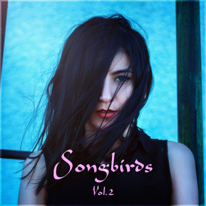 ดาวน์โหลดและฟังเพลง Seven Nation Army พร้อมเนื้อเพลงจาก Alixandrea Corvyn