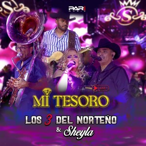 Listen to MI TESORO (En Vivo) song with lyrics from Los 3 Del Norteño