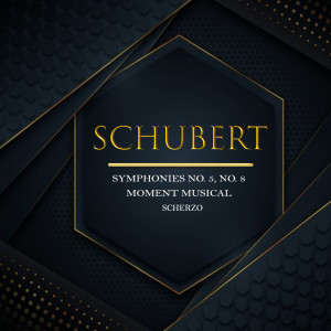 อัลบัม Schubert, Symphonies No. 5, No. 8, Moment Musical, Scherzo ศิลปิน Silvia Capova