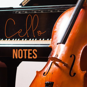 ดาวน์โหลดและฟังเพลง Cello Soliloquy พร้อมเนื้อเพลงจาก Edwards Stephen