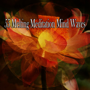 Classical Study Music的專輯55 Melting Meditation Mind Waves