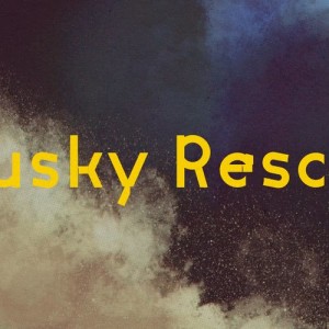 Husky Rescue的專輯Catskills Records: 20 Years of Victory: My Shelter