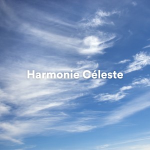 Album Harmonie Céleste from Yoga Nature