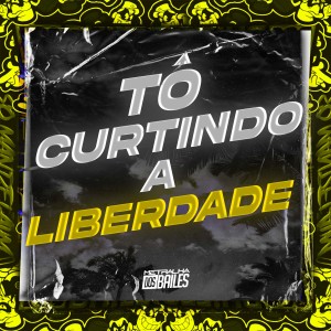 Listen to TÔ CURTINDO A LIBERDADE song with lyrics from MC Hyatta