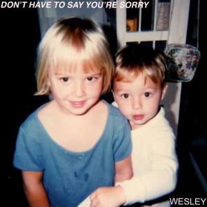 Listen to DON'T HAVE TO SAY YOU'RE SORRY song with lyrics from Wesley