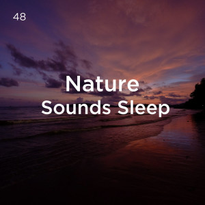 收聽Deep Sleep的Zen Nature Sounds歌詞歌曲