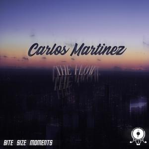 Listen to The Flow song with lyrics from Carlos Martinez