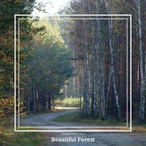 SerenitySounds的專輯Beautiful Forest