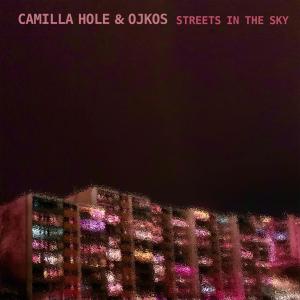 Camilla Hole的專輯Streets In The Sky