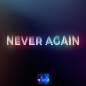 Album Never Again (Explicit) from Density