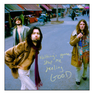 Album Nothing's Gonna Stop Me Feeling Good from The Gulls