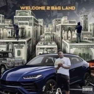 Album Welcome 2 Bag Land (Explicit) from Lu2xs