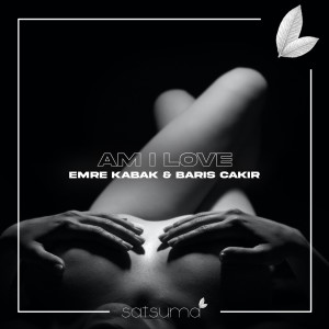 Listen to Am I Love song with lyrics from Barış Çakır