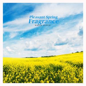 Listen to Birds Singing song with lyrics from White Cloud