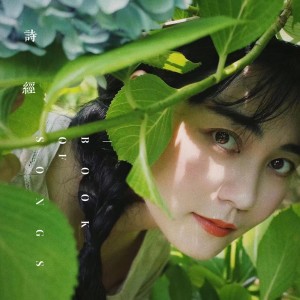 Listen to Dropped Plum song with lyrics from 程璧