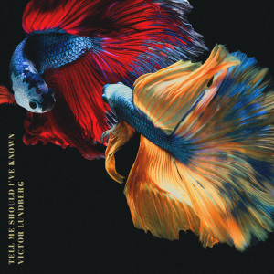 ดาวน์โหลดและฟังเพลง Tell Me Should I’ve Known (Instrumental Version) พร้อมเนื้อเพลงจาก Victor Lundberg