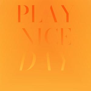 Various Artists的專輯Play Nice Day