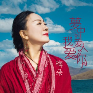 收聽梅朵的夢中的愛人我愛你 (伴奏)歌詞歌曲