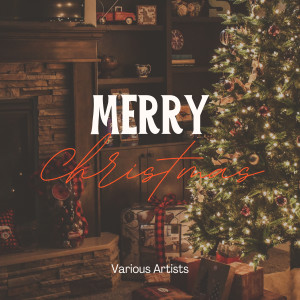Various Artists的專輯Merry Christmas
