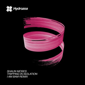 Listen to Tripping In Isolation (I AM BAM Remix) song with lyrics from Shaun Moses