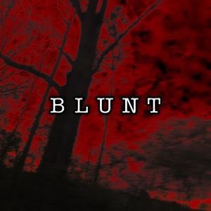 Listen to Blunt song with lyrics from $ten