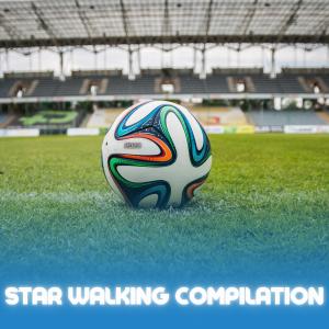 Various Artists的專輯Star Walking Compilation 2022