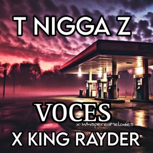 Listen to Voces (Explicit) song with lyrics from T Nigga Z