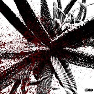 ดาวน์โหลดและฟังเพลง Cyanide (Explicit) พร้อมเนื้อเพลงจาก Julixn