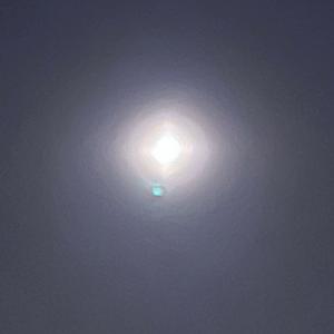 ดาวน์โหลดและฟังเพลง Pride (Explicit) พร้อมเนื้อเพลงจาก Emvy