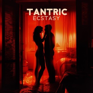 Album Tantric Ecstasy (Deep Foreplay, Sexy Tunes of Harp, Piano & Hangdrum, More Energy & Sexual Passion) from Hot Sexual Fantasy Academy