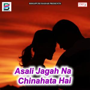 Various的专辑Asali Jagah Na Chinahata Hai