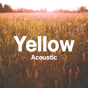 收聽Amber Leigh Irish的Yellow (Acoustic)歌詞歌曲