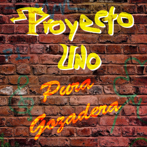 ดาวน์โหลดและฟังเพลง Fiebre พร้อมเนื้อเพลงจาก Proyecto Uno