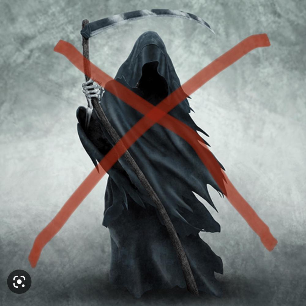 Fake Reaper (feat. Chn Jake) (Explicit)