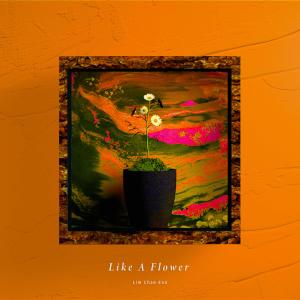 Album Like A Flower from 任蔡言