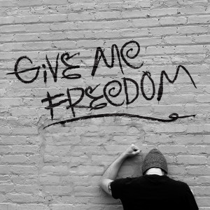 收聽Luke Cannon的Give Me Freedom (Explicit)歌詞歌曲