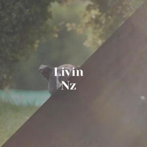 Listen to Organisms Shaking song with lyrics from Lence Stane