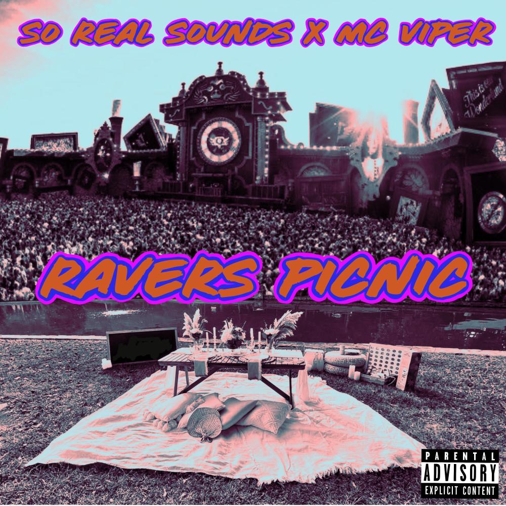 Ravers Picnic (feat. Mc Viper) (Explicit)