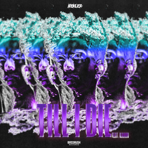 Album TILL I DIE (Explicit) from Hekler