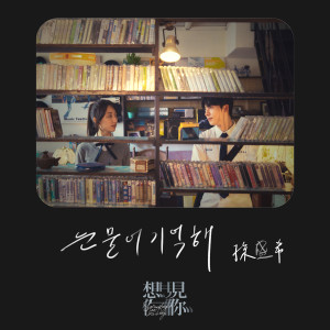 Album 눈물이 기억해 oleh 孙盛希