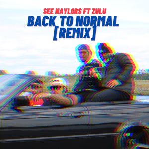 see naylors的专辑Back To Normal (Remix) (Explicit)