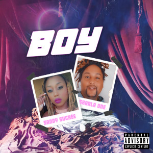 Album BOY from 