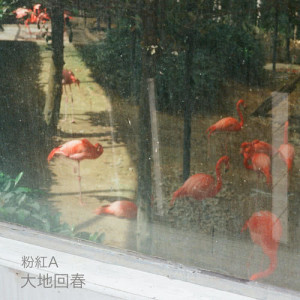 收聽粉紅A的大地回春 - Radio Mix (Radio Mix)歌詞歌曲