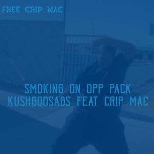 Smoking On Opp Pack (feat. Crip Mac) [Explicit]