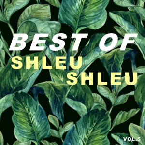 Shleu Shleu的專輯Best of shleu shleu (Vol.5)