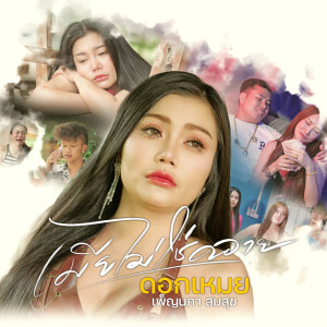 Listen to เมียไม่ใช่ควาย song with lyrics from ดอกเหมย เพ็ญนภา